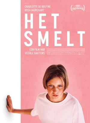 Poster 'Het smelt'